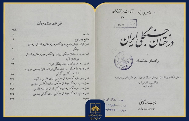 معرفی کتاب «درختان جنگلی ایران»؛ منبعی کلاسیک در جنگلداری و درخت‌شناسی ایران